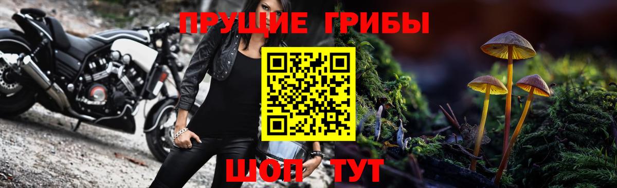 Псилоцибиновые грибы прущие грибы Обь